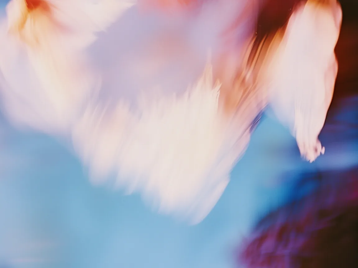 Gerilim baş ağrısı bütün primer baş ağrıları içinde en sık rastlanılan baş ağrısıdır.